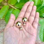 Big gold loop earrings at back