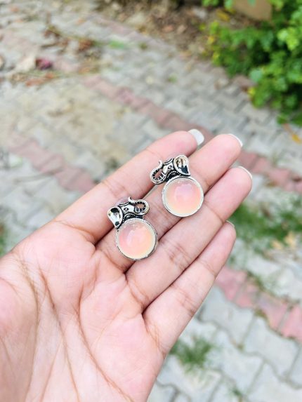 Elephant multi shine earrings
