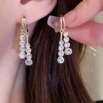 Stones earrings